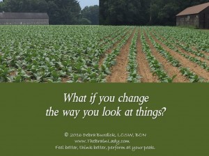 What if you change the way you look at things -tobacco snip