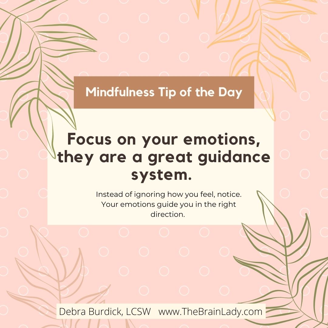 Emotional Guidance System Mindfulness tip about emotions as guidance.