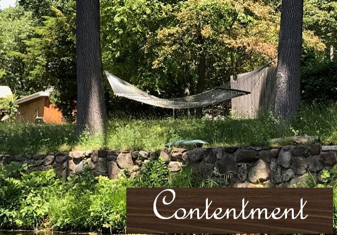 A hammock strung between two trees in a peaceful forest setting.