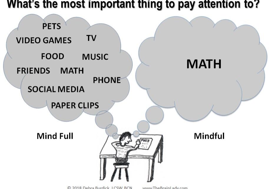 What's the Most Important Thing to Pay Attention To snip A cartoon showing a distracted boy with many thoughts and a focused boy thinking only about math.