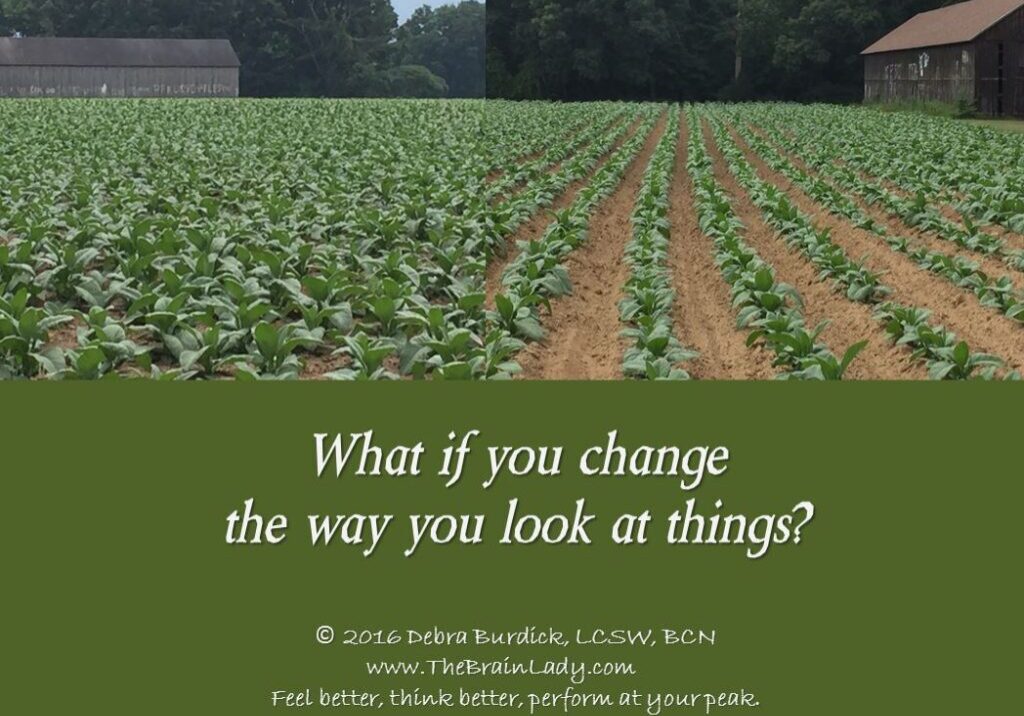 A green field with crops and an inspirational quote about changing perspective.