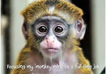 Focusing my "monkey mind" is a full time job