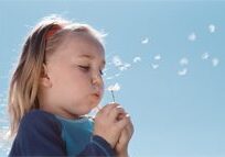 A child blowing dandelion seeds in the sunlight.