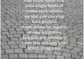 moderate-exercise-adhd moderate exercise can have positive effects on children with ADHD