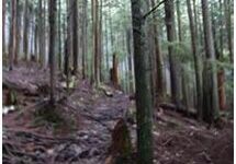 mountain-path